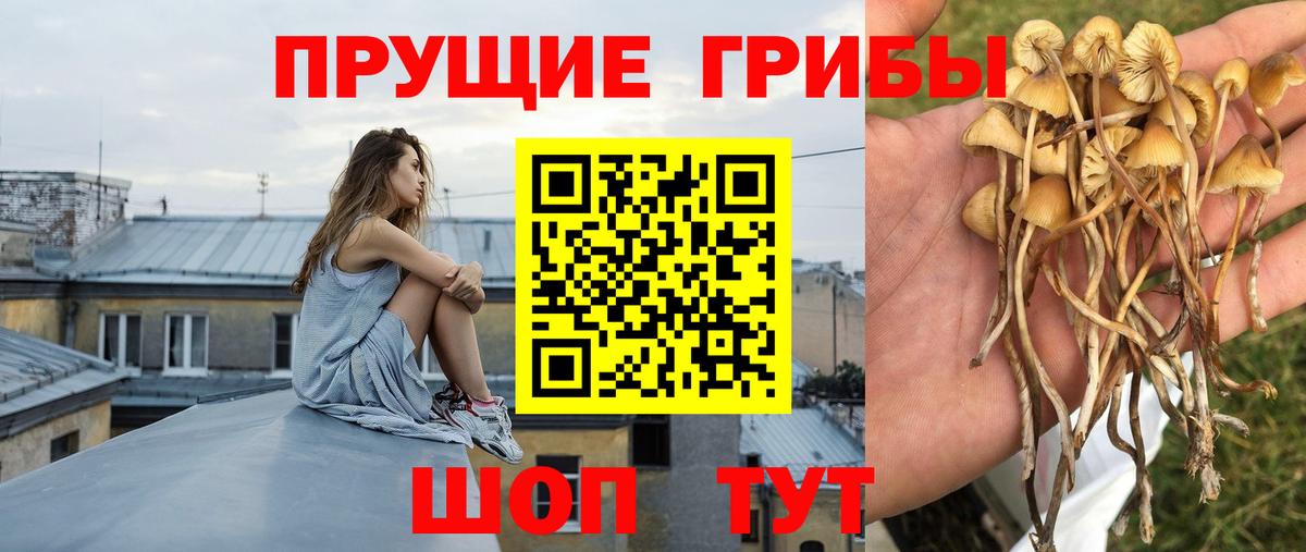 Псилоцибиновые грибы мухоморы Лянтор